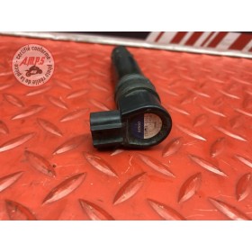 Bobine d'allumage 
