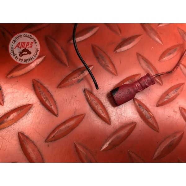 Support plaque avec clignotant ar 