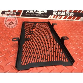 Grille de radiateur 