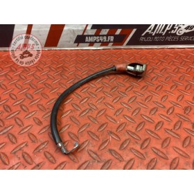 Cable de batterie 