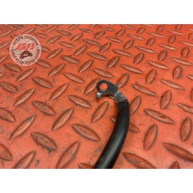 Cable de batterie 
