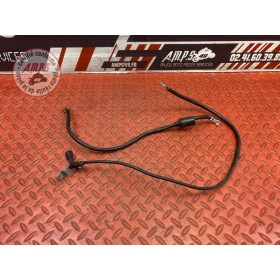Cable de masse 