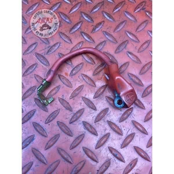 Cable de batterie 