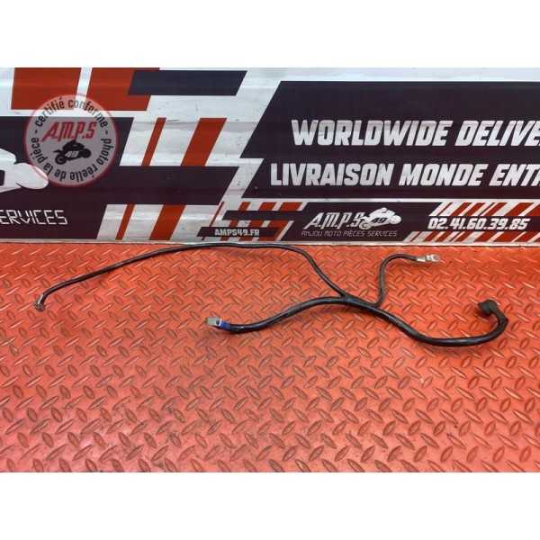 Cable de masse 