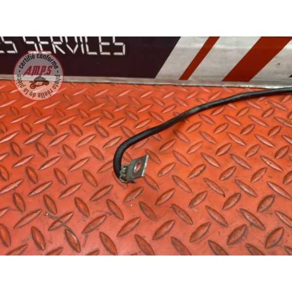 Cable de masse 