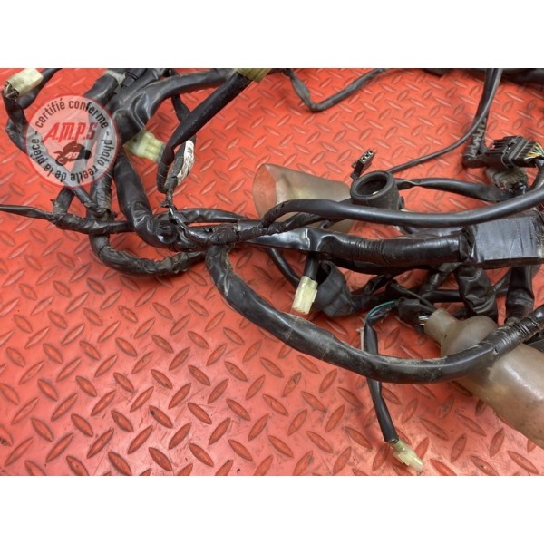 Faisceau électrique principale 