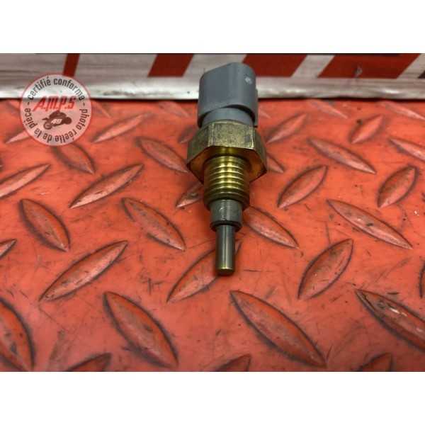 Sonde de température d'eau 