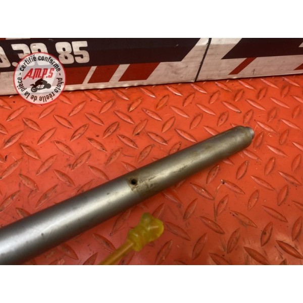Guidon 