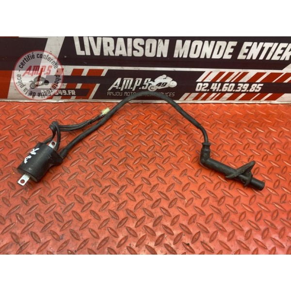 Bobine d'allumage arriere 