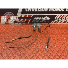 Clignotants adaptable RIZOMA 