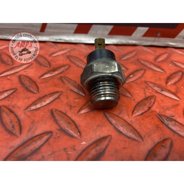 Sonde de température d'eau 