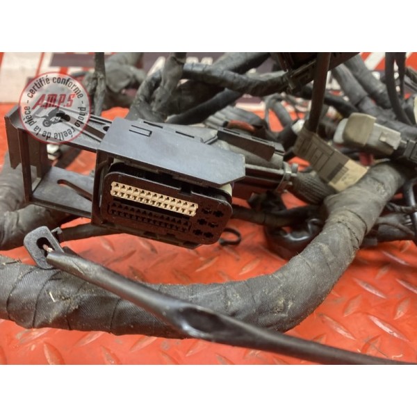 Faisceau électrique principale 