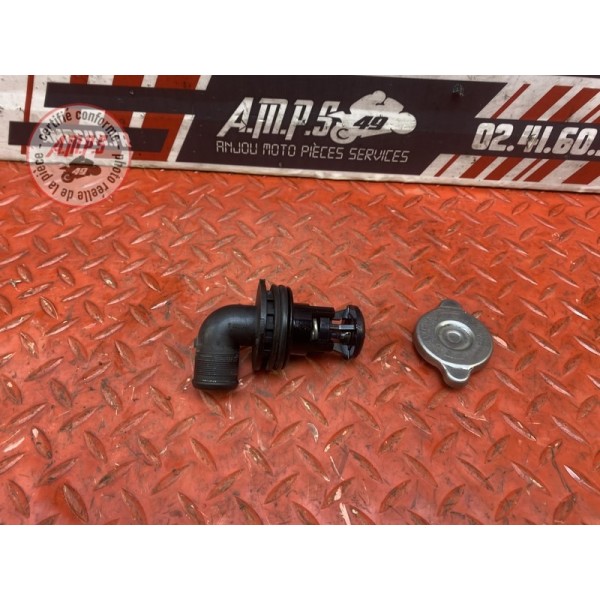 Calorstat + bouchon cote radiateur 