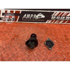 Calorstat + bouchon cote radiateur 