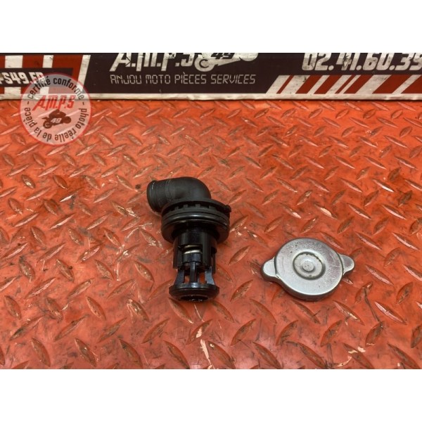 Calorstat + bouchon cote radiateur 