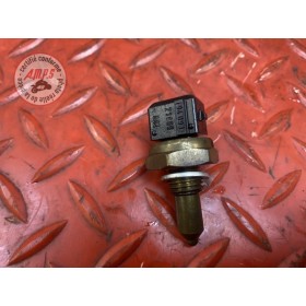 Sonde de température d'eau 