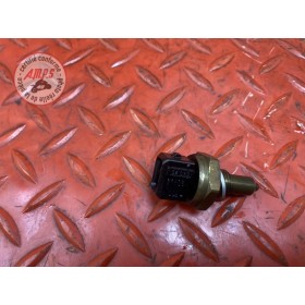 Sonde de température d'eau 