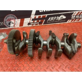 Vilebrequin avec bielles 