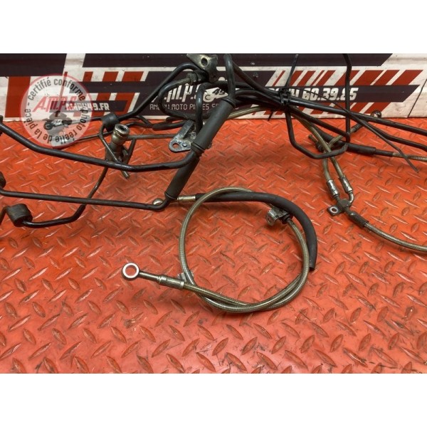 Kit de durite frein AV + AR 
