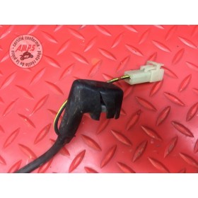 Cable de masse 