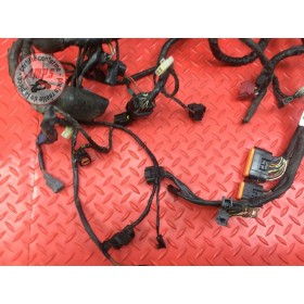 Faisceau électrique principale 