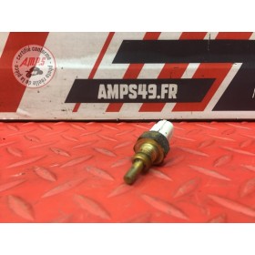 Sonde de température d'eau 
