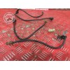 Cable de masse