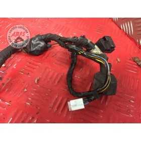 Faisceau electrique principal 
