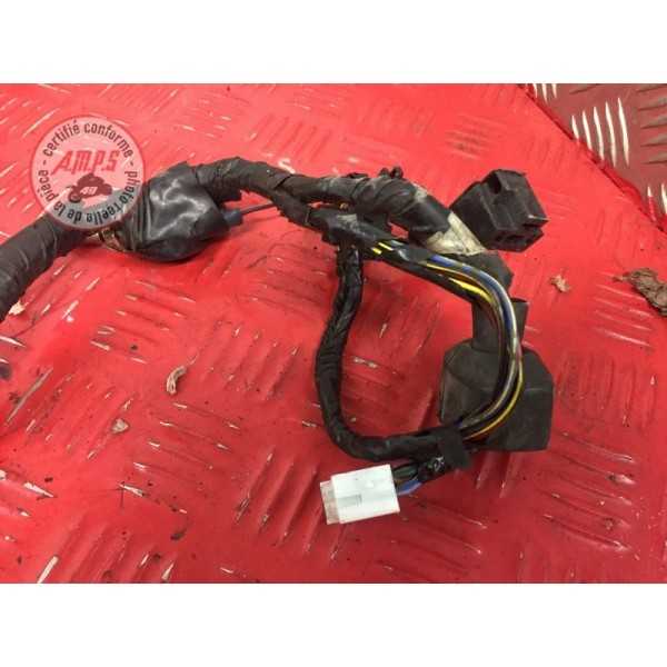 Faisceau electrique principal 