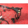 Faisceau electrique principal 