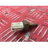 Sonde de température 