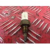 Sonde de température 