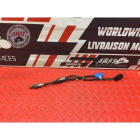 Paire de sonde lambda 