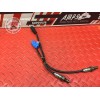 Paire de sonde lambda 