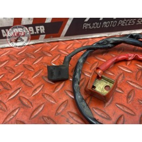 Cable de batterie 
