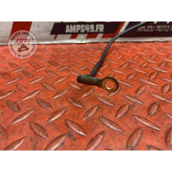 Cable de masse 
