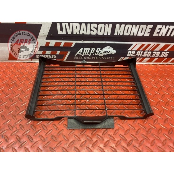Grille de radiateur 