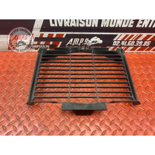 Grille de radiateur 