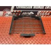 Grille de radiateur 