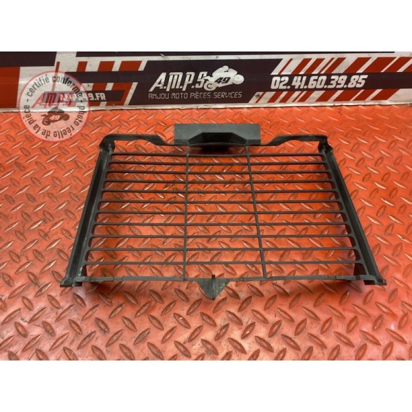 Grille de radiateur 