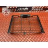 Grille de radiateur 