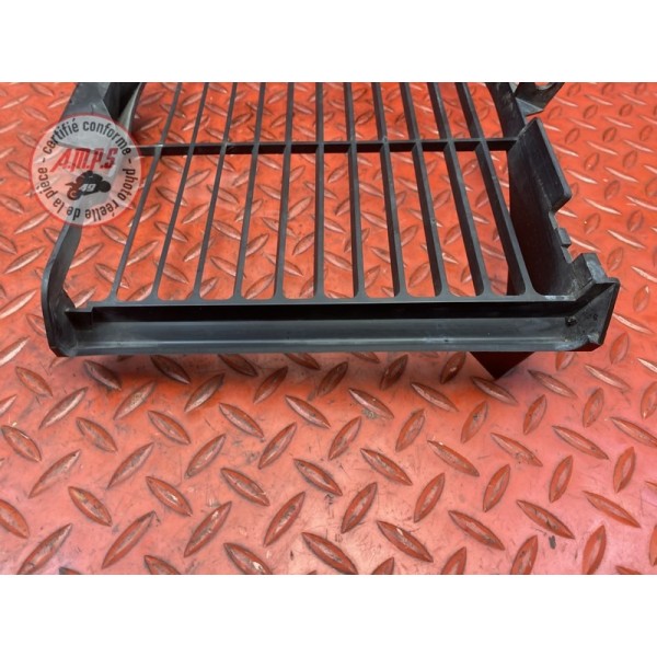 Grille de radiateur 