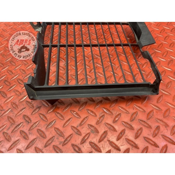 Grille de radiateur 