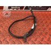 Cable de masse 