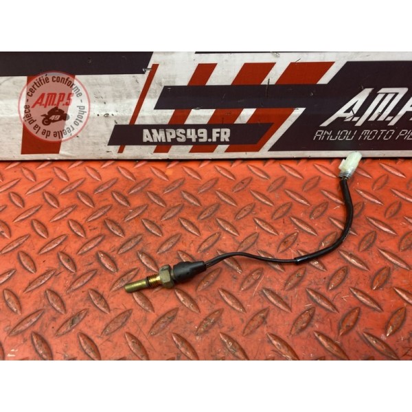 Sonde de température d'eau 