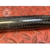 Guidon Aella carbone 