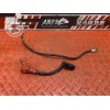Cable de batterie 