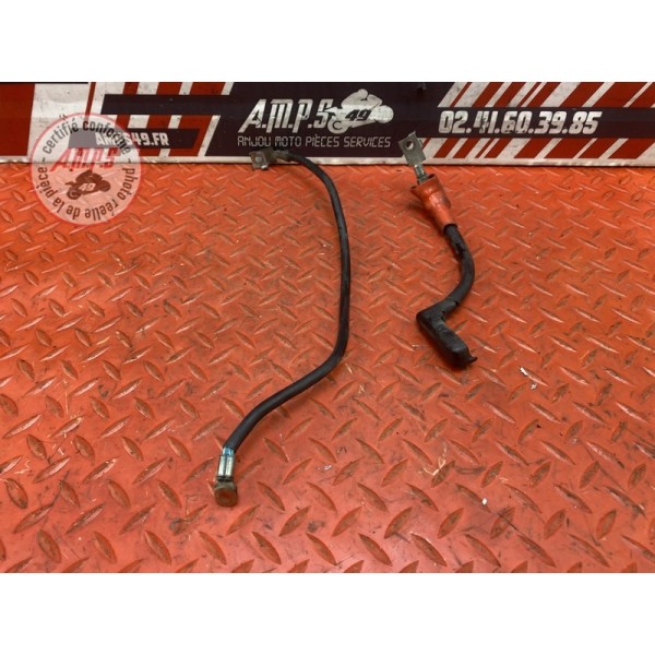 Cable de batterie 