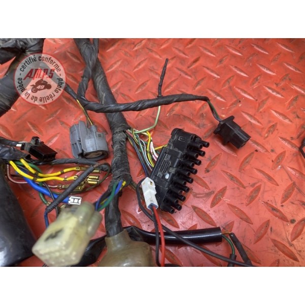 Faisceau électrique principale 