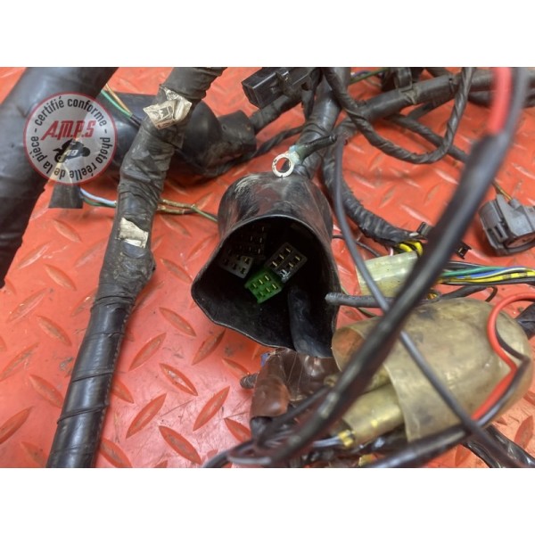 Faisceau électrique principale 